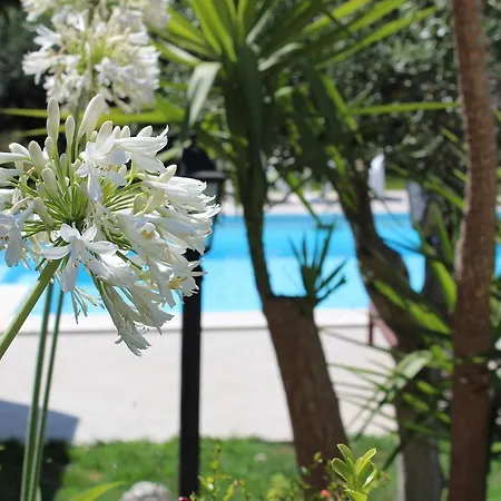 Villa Orchidea Luxury B&B-2