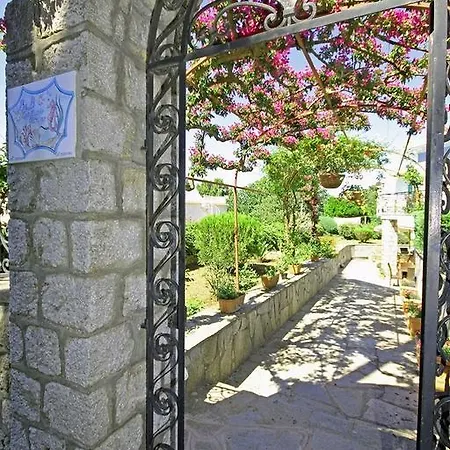 Cavalluccio Marino-2