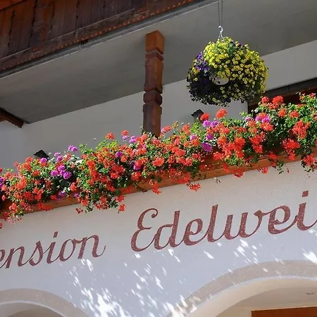 Pensione Edelweiss-2