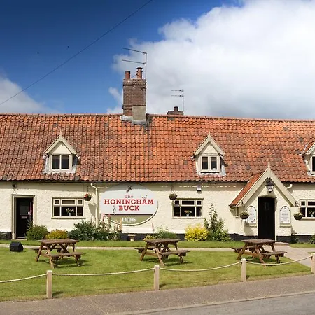 The Honingham Buck-2