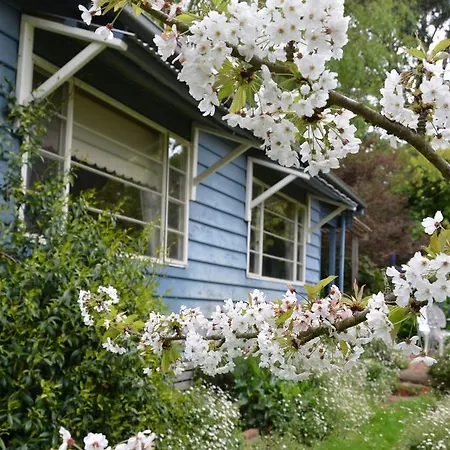 Summerhill Farm B&B-2
