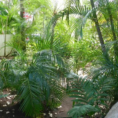 Oskar'S Rain Forest Retreat-2