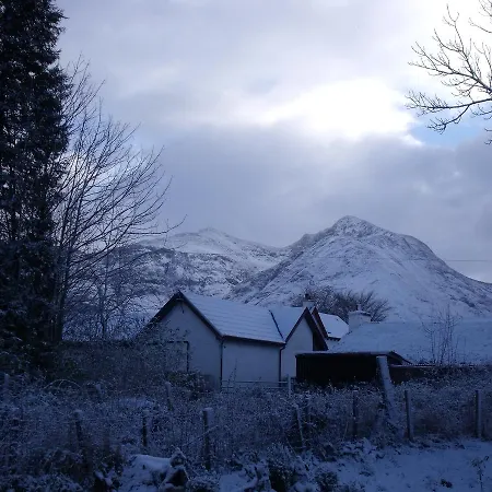 Beechwood Cottage B&B-2