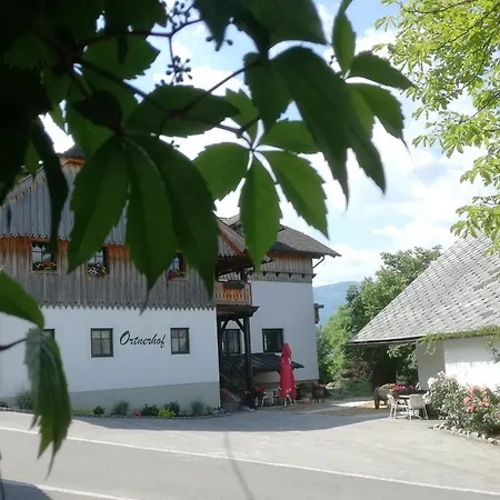 Ortnerhof Ennstal-3