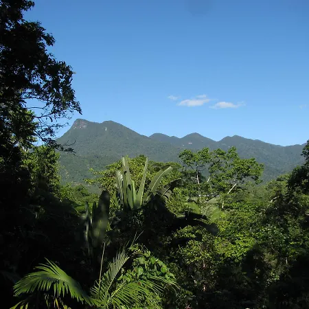 Mossman Gorge Bed And Breakfast-3