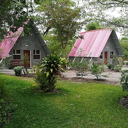 Happy Forest B&B-3