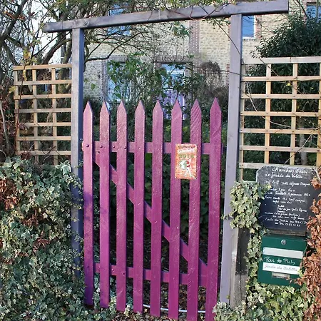 Au Jardin Des Violettes-3