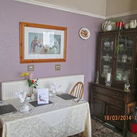Camellia Lodge Guest House-3