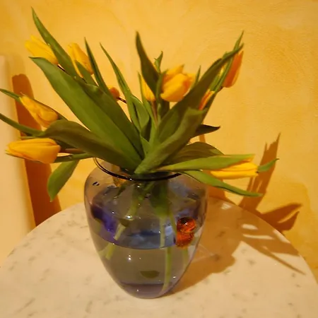 Anfiteatro B&B-2
