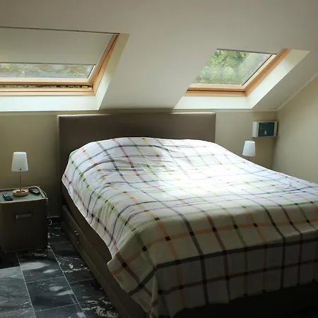 B&B Don Genaro-3