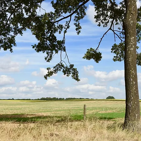 De Hagendoorn-2