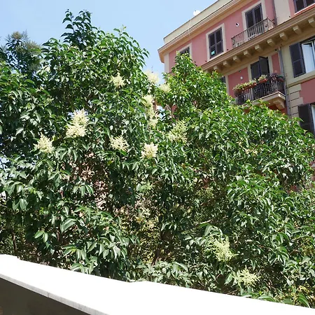 Nori Guest House-2