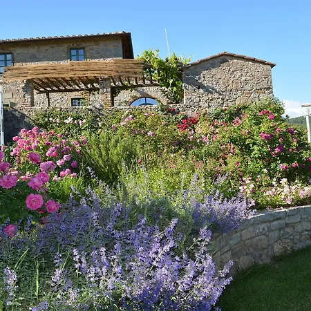 B&B Podere Il Colto-2