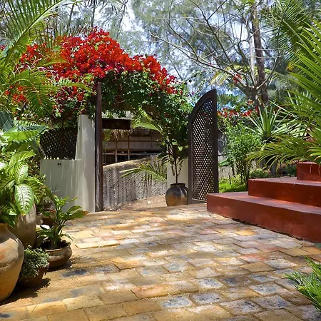 Baia Sonambula-2
