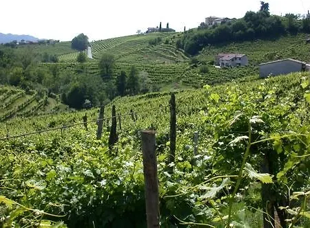 b&b alla pergola-2