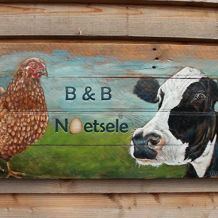 B&B Noetsele-3