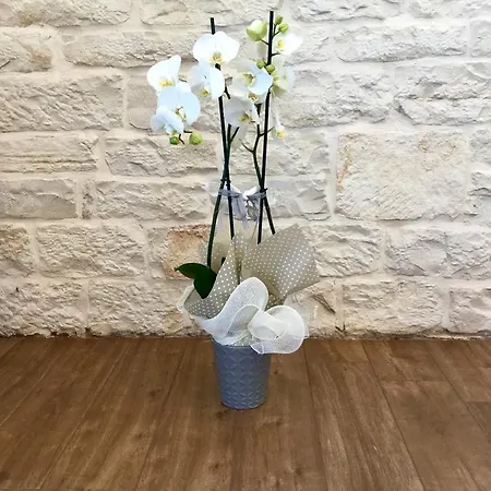 B&B Sant'Agostino-2
