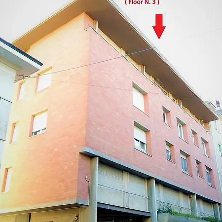 Pisa City Lodge-3