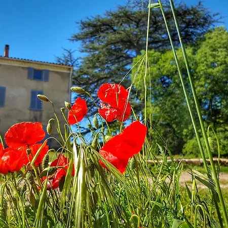 Le Domaine Saint Martin-3