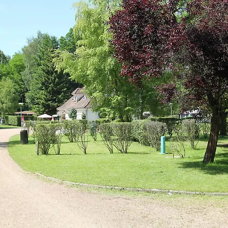 Le Coeur De La Foret-3