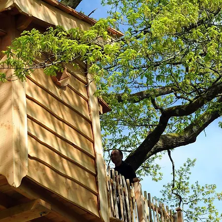 La Cabane du Vieux Chêne-3