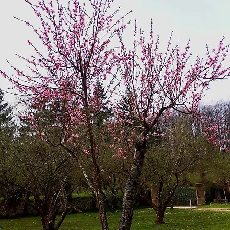 Bed And Breakfast Monticelli-2