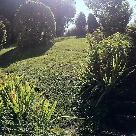Nickhof B&B Resort-2