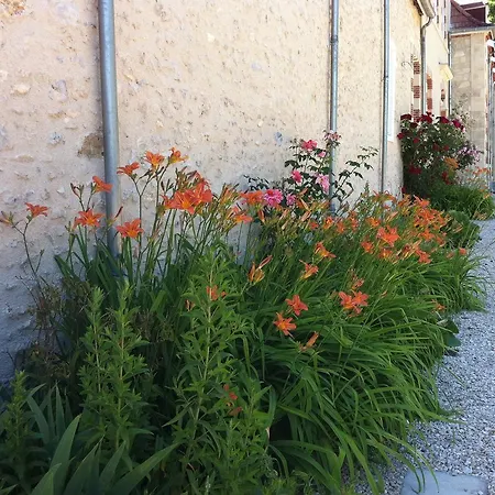Manoir De Montflambert-3