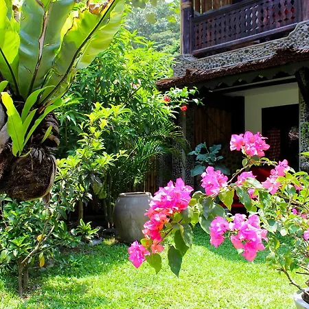 Ecotravel Cottages Bukit Lawang & Jungle Trekking-3