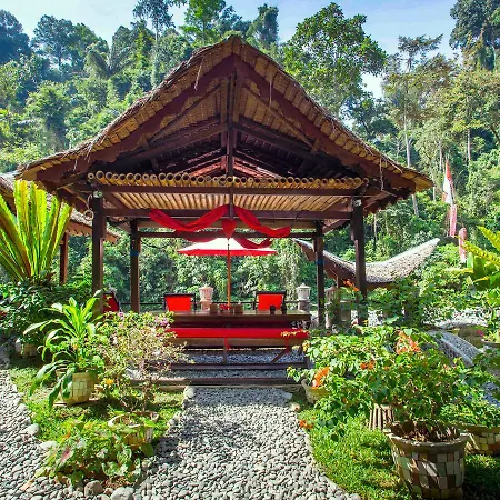 Ecotravel Cottages Bukit Lawang & Jungle Trekking-2