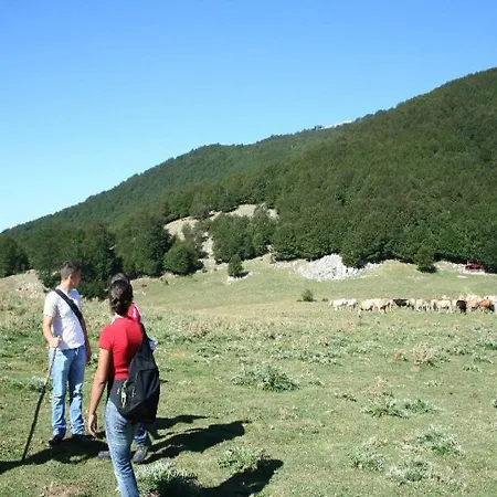 B&B Sole del Pollino-3