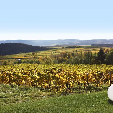 Weinblick Grafinger-3