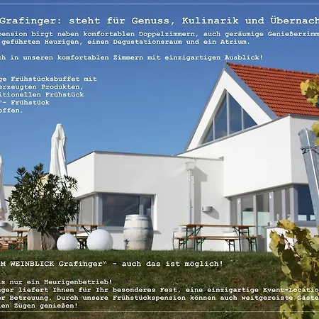 Weinblick Grafinger-2