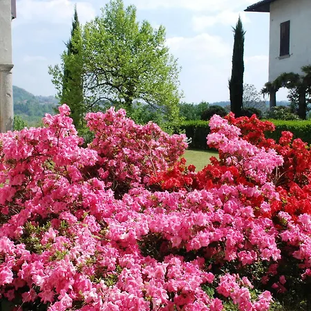B&B Villa Natta-2
