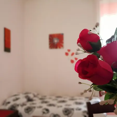 Palazzo Rosa-3