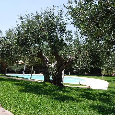 In Sicilia Da Ciro-3