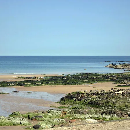 No12 Bed And Breakfast, St Andrews-3