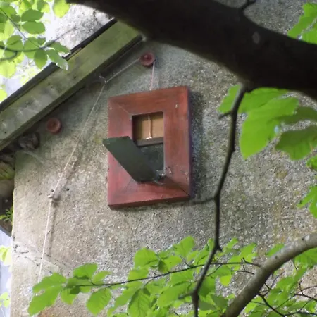 B&B Les Tilleuls-3