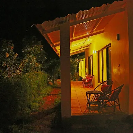 The Tamarillo-3
