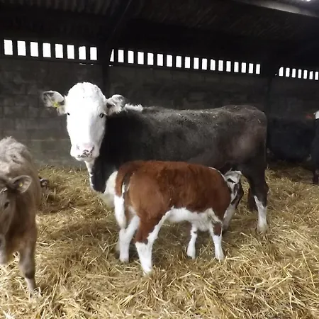 Peartree Farm-3