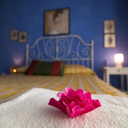 B&B Miroca-3