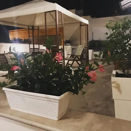 Sine Tempore B&B-2