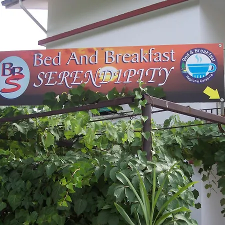 B&B Serendipity The Better Choice For Your Holidays-3