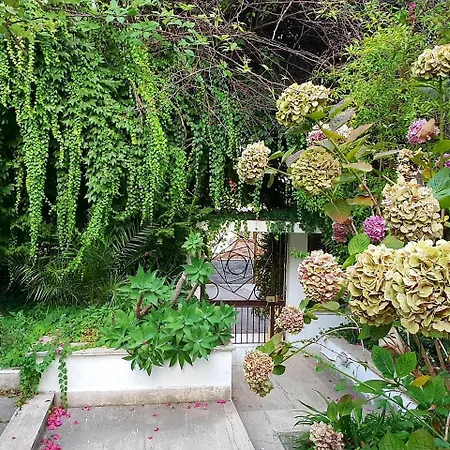 B&B Il Giardino di Villa Anna-3