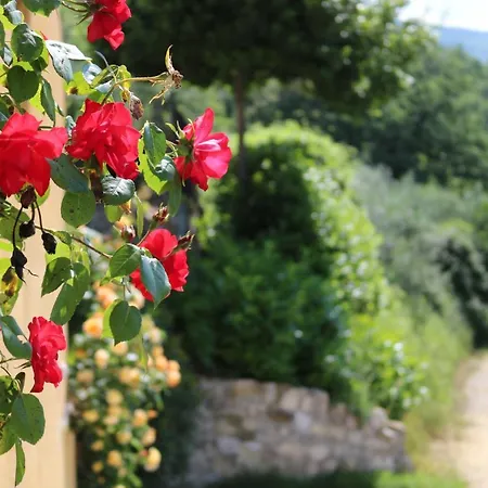 Bed & Breakfast Casa Lisetta-3
