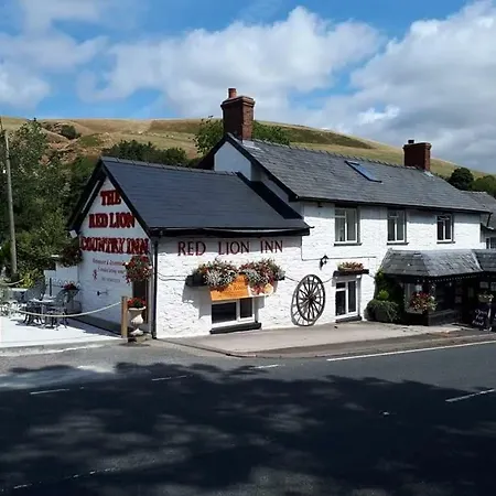 Llew Coch B&B Formerly The Red Lion Inn-3
