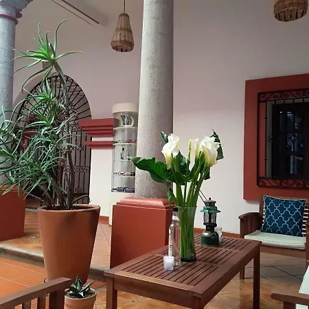 Casa Agave Oaxaca-3