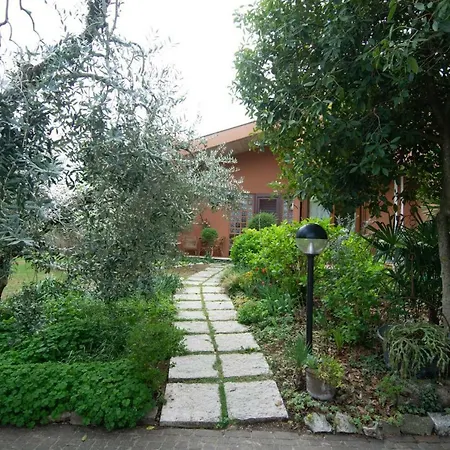 El Rincon Del Artista-2