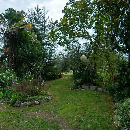 El Rincon del Artista-3