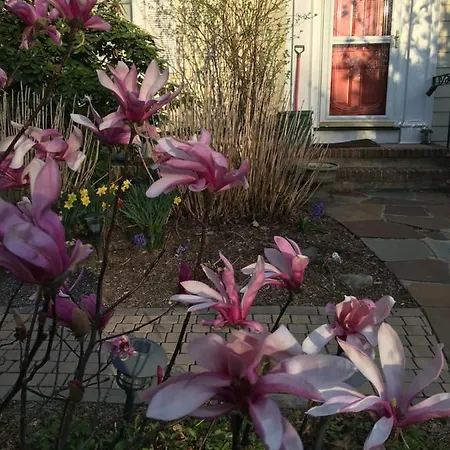 Wellesley Bed And Breakfast-2